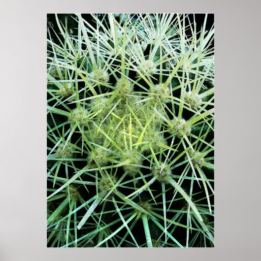 Cactus Poster (Voorkant)