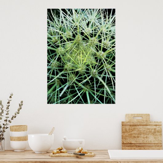 Cactus Poster (Keuken)