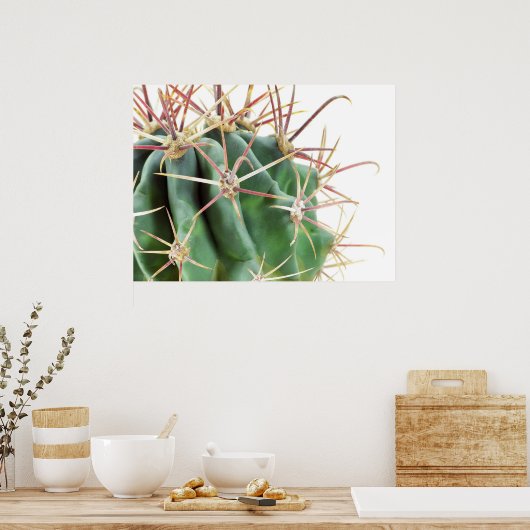 Cactus Poster (Keuken)
