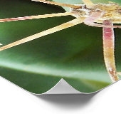 Cactus Poster (Hoek)