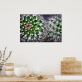 cactus poster (Keuken)