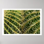 Cactus Poster (Voorkant)
