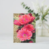 Cactus:Postkaart Briefkaart (Staand voorkant)