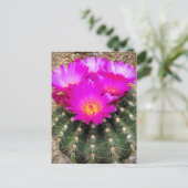 Cactus:Postkaart Briefkaart (Staand voorkant)