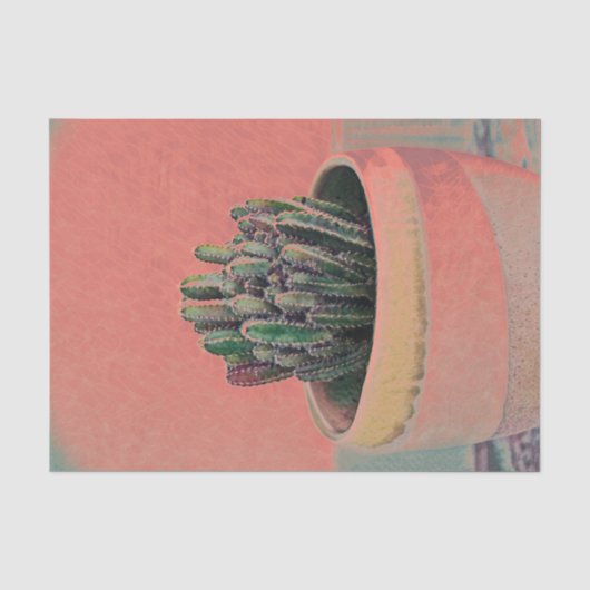 Cactus Potplant Huis Kleurrijk Kunstontwerp Tissuepapier (Voorkant)