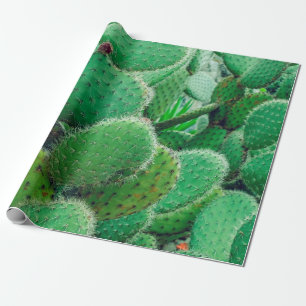 Cactus, prikcactus, cactus, stekels dicht cadeaupapier