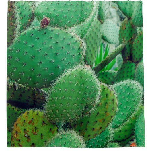 Cactus, prikcactus, cactus, stekels dicht douchegordijn (Voorkant)