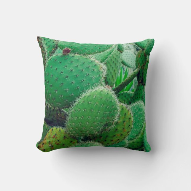 Cactus, prikcactus, cactus, stekels dicht kussen (Voorkant)