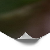 Cactus Print | Een woestijncactus-ventilator (Hoek)