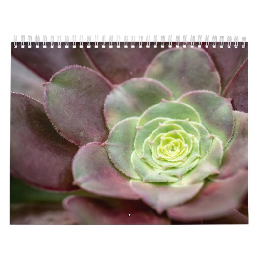 Cactus Print | Een woestijncactus-ventilator Kalender (Hoes)