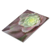 Cactus Print | Een woestijncactus-ventilator Notitieblok (Schuin)