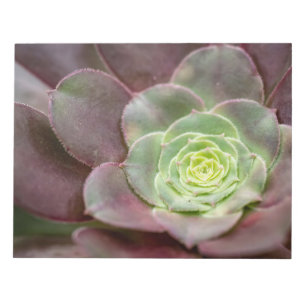 Cactus Print Een woestijncactus-ventilator Notitieblok