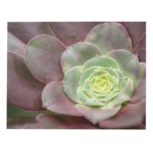 Cactus Print | Een woestijncactus-ventilator Notitieblok (Voorkant)