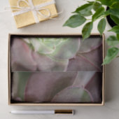 Cactus Print | Een woestijncactus-ventilator Tissuepapier (Geschenk)