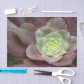 Cactus Print | Een woestijncactus-ventilator Tissuepapier (Craft)