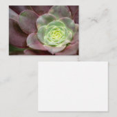 Cactus Print | Een woestijncactus-ventilator Visitekaartje (Voorkant / Achterkant)