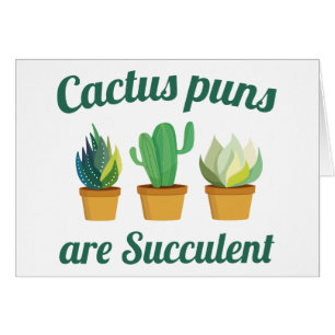 Cactus Puns is zuinig