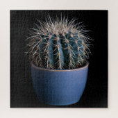 Cactus Puzzel (Verticaal)