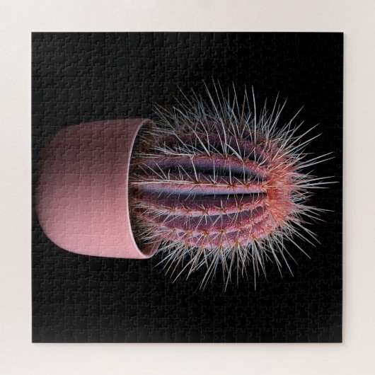 Cactus Puzzel (Horizontaal)