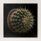 Cactus Puzzel (Horizontaal)