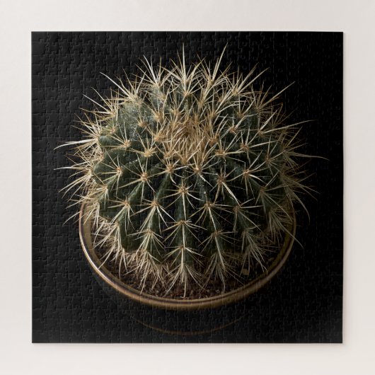 Cactus Puzzel (Verticaal)