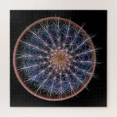 Cactus Puzzel (Horizontaal)