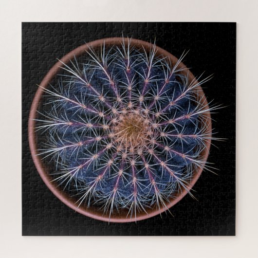 Cactus Puzzel (Horizontaal)