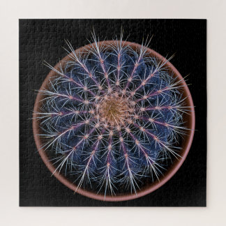 Cactus Puzzel