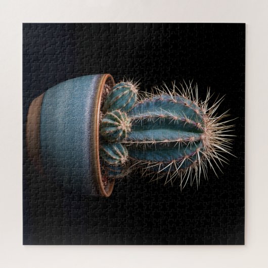 Cactus Puzzel (Horizontaal)