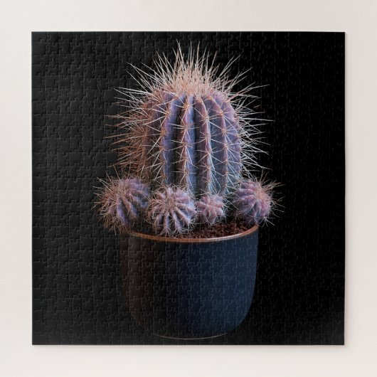 Cactus Puzzel (Verticaal)