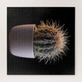 Cactus Puzzel (Horizontaal)