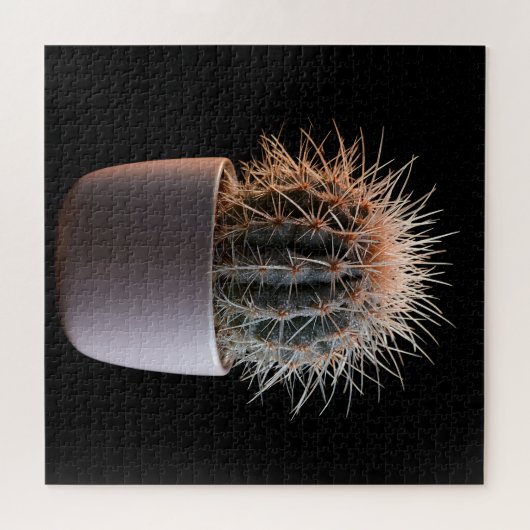 Cactus Puzzel (Horizontaal)