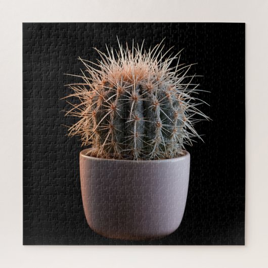 Cactus Puzzel (Verticaal)