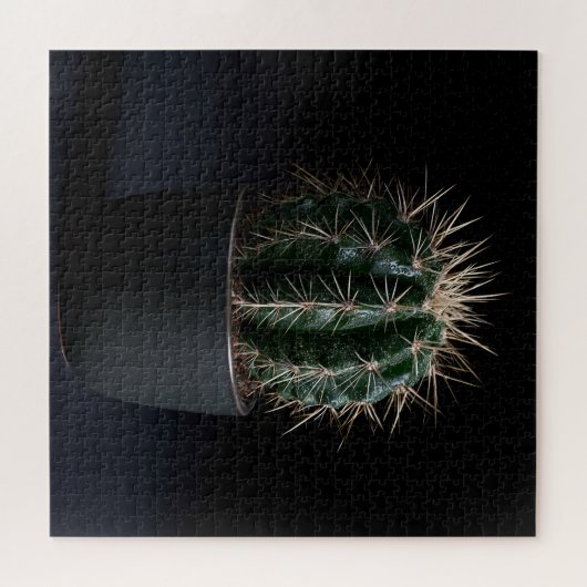 Cactus Puzzel (Horizontaal)