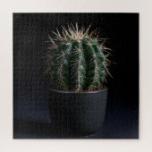 Cactus Puzzel (Verticaal)