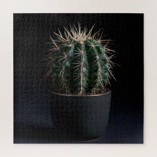 Cactus Puzzel (Verticaal)
