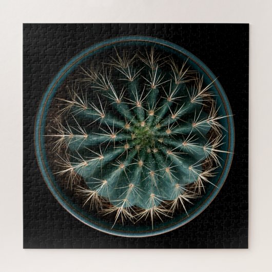 Cactus Puzzel (Horizontaal)