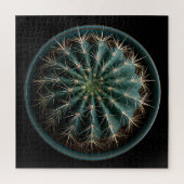Cactus Puzzel (Verticaal)