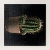 Cactus Puzzel (Horizontaal)