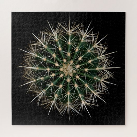 Cactus Puzzel (Horizontaal)