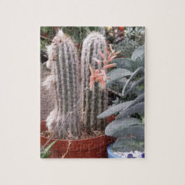 Cactus Puzzle Legpuzzel