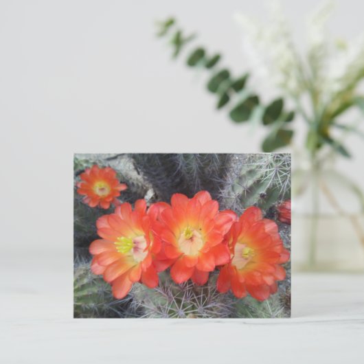 Cactus Quartet Briefkaart (Staand voorkant)