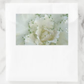 Cactus Rechthoekige Sticker (Tas)