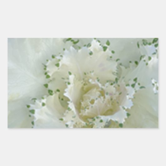 Cactus Rechthoekige Sticker (Voorkant)