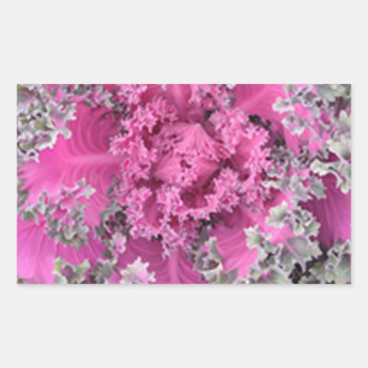 Cactus Rechthoekige Sticker (Voorkant)