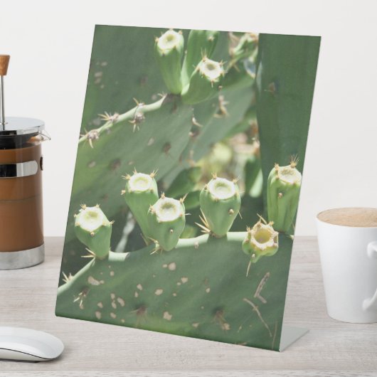 Cactus Reclamebord Met Voetstuk (Insitu)