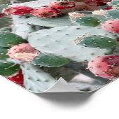 Cactus Red Fruit Photo Value Poster papier (Hoek)