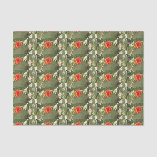 Cactus Robuust en prachtig cadeaupapier Tissuepapier (Voorkant)