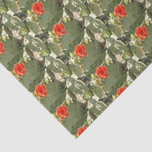 Cactus Robuust en prachtig cadeaupapier Tissuepapier (Detail)