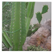 Cactus Rocks Cacti - zuidwest landschap Tegeltje (Voorkant)